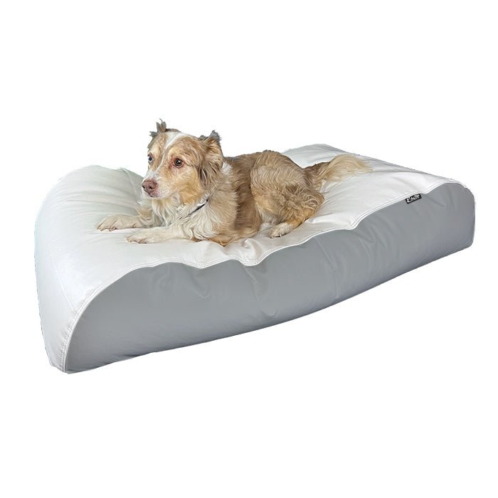 E - SeaRider Dog Bed Marine Bean Bag - E - SeaRider DGBDL - White - Seafoam - SS