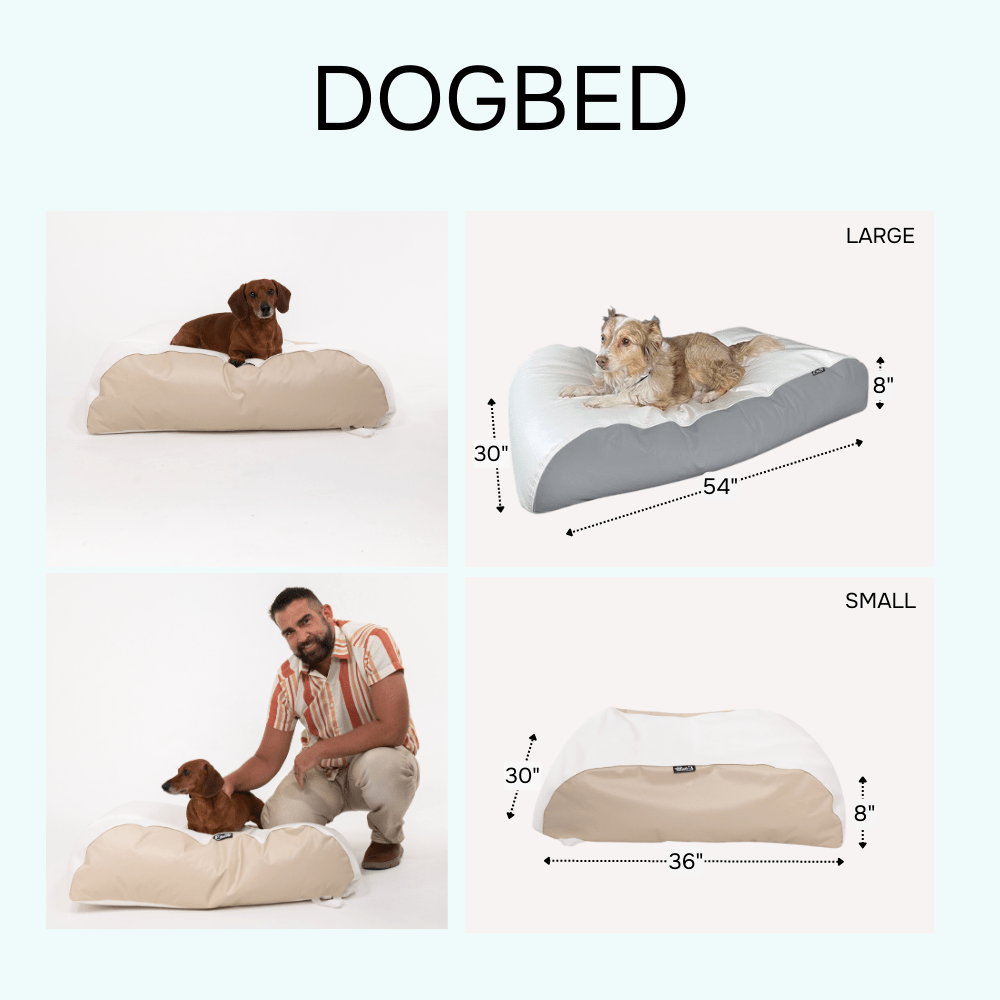E - SeaRider Dog Bed Marine Bean Bag - E - SeaRider DGBDS - White - Seafoam - SS