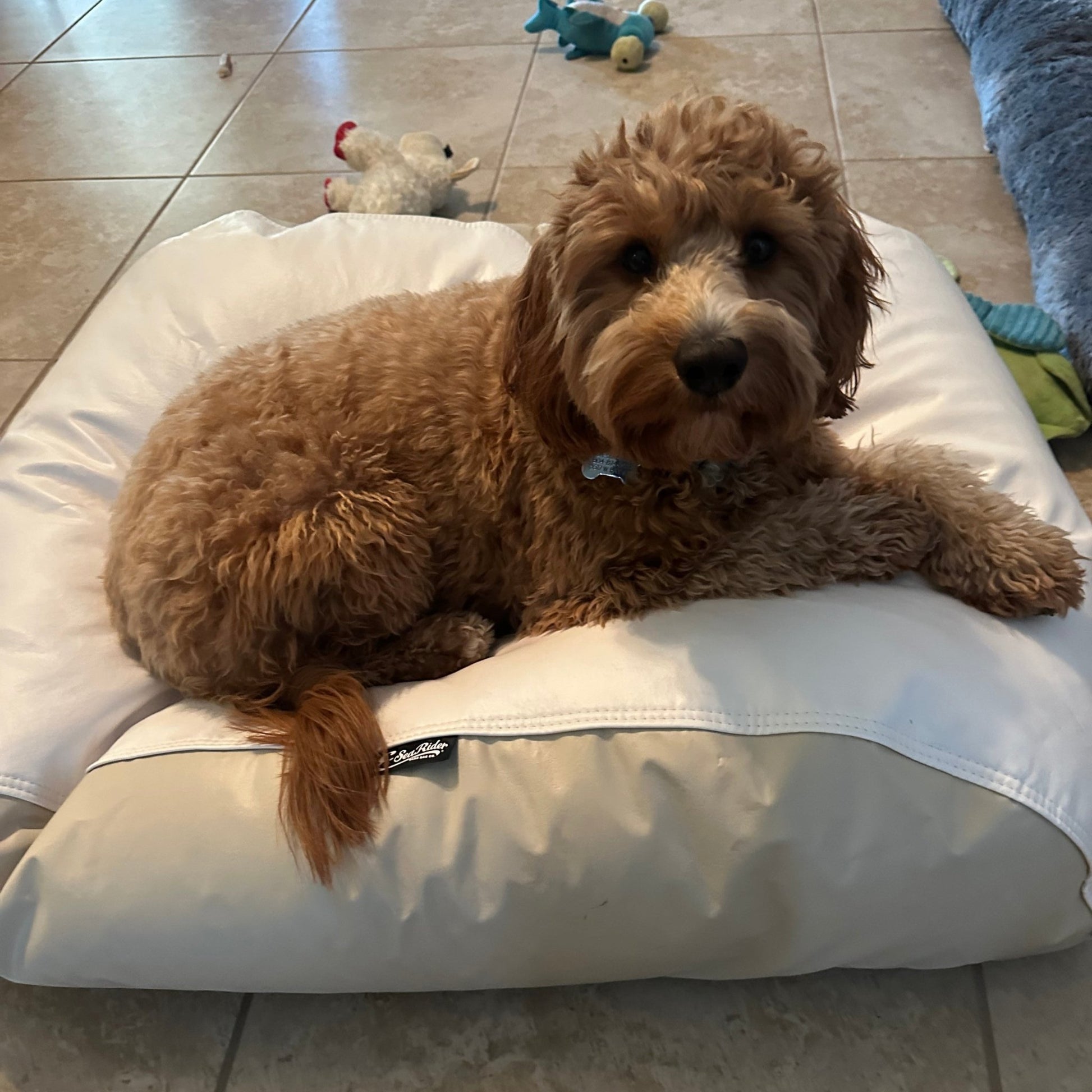 E - SeaRider Dog Bed Marine Bean Bag - E - SeaRider DGBDS - White - Seafoam - SS